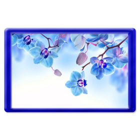 Магнит 45*70 с принтом Голубая орхидея в Санкт-Петербурге, Пластик | Размер: 78*52 мм; Размер печати: 70*45 | голубая орхидея | красота | орхидеи | природа | цветок | цветочек | цветы
