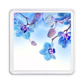 Магнит 55*55 с принтом Голубая орхидея в Санкт-Петербурге, Пластик | Размер: 65*65 мм; Размер печати: 55*55 мм | голубая орхидея | красота | орхидеи | природа | цветок | цветочек | цветы