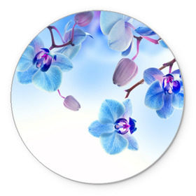 Коврик круглый с принтом Голубая орхидея в Санкт-Петербурге, резина и полиэстер | круглая форма, изображение наносится на всю лицевую часть | Тематика изображения на принте: голубая орхидея | красота | орхидеи | природа | цветок | цветочек | цветы