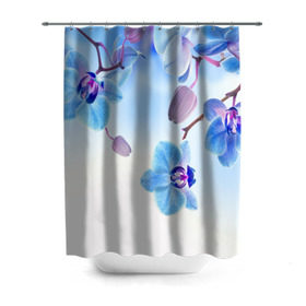 Штора 3D для ванной с принтом Голубая орхидея в Санкт-Петербурге, 100% полиэстер | плотность материала — 100 г/м2. Стандартный размер — 146 см х 180 см. По верхнему краю — пластиковые люверсы для креплений. В комплекте 10 пластиковых колец | Тематика изображения на принте: голубая орхидея | красота | орхидеи | природа | цветок | цветочек | цветы