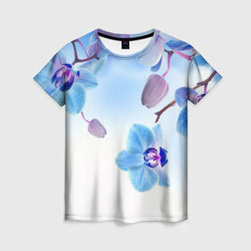 Женская футболка 3D с принтом Голубая орхидея в Санкт-Петербурге, 100% полиэфир ( синтетическое хлопкоподобное полотно) | прямой крой, круглый вырез горловины, длина до линии бедер | Тематика изображения на принте: голубая орхидея | красота | орхидеи | природа | цветок | цветочек | цветы