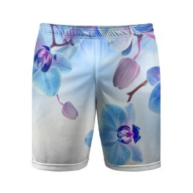 Мужские шорты 3D спортивные с принтом Голубая орхидея в Санкт-Петербурге,  |  | голубая орхидея | красота | орхидеи | природа | цветок | цветочек | цветы