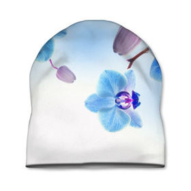 Шапка 3D с принтом Голубая орхидея в Санкт-Петербурге, 100% полиэстер | универсальный размер, печать по всей поверхности изделия | Тематика изображения на принте: голубая орхидея | красота | орхидеи | природа | цветок | цветочек | цветы