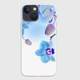 Чехол для iPhone 13 mini с принтом Голубая орхидея в Санкт-Петербурге,  |  | голубая орхидея | красота | орхидеи | природа | цветок | цветочек | цветы