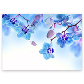 Поздравительная открытка с принтом Голубая орхидея в Санкт-Петербурге, 100% бумага | плотность бумаги 280 г/м2, матовая, на обратной стороне линовка и место для марки
 | Тематика изображения на принте: голубая орхидея | красота | орхидеи | природа | цветок | цветочек | цветы
