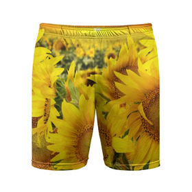 Мужские шорты 3D спортивные с принтом Подсолнухи в Санкт-Петербурге,  |  | желтый | солнце | цветок | яркий