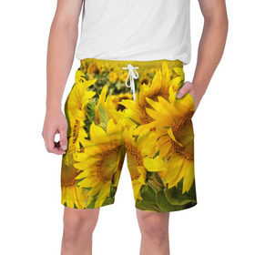Мужские шорты 3D с принтом Подсолнухи в Санкт-Петербурге,  полиэстер 100% | прямой крой, два кармана без застежек по бокам. Мягкая трикотажная резинка на поясе, внутри которой широкие завязки. Длина чуть выше колен | желтый | солнце | цветок | яркий