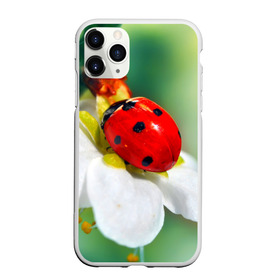 Чехол для iPhone 11 Pro матовый с принтом Божья коровка в Санкт-Петербурге, Силикон |  | божья коровка | насекомое | цветок