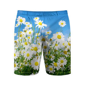 Мужские шорты 3D спортивные с принтом Полевые цветы 7 в Санкт-Петербурге,  |  | поле | полевые цветы | цветы