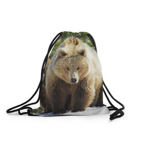 Рюкзак-мешок 3D с принтом Медведи в Санкт-Петербурге, 100% полиэстер | плотность ткани — 200 г/м2, размер — 35 х 45 см; лямки — толстые шнурки, застежка на шнуровке, без карманов и подкладки | звери | медведь | мишка | природа