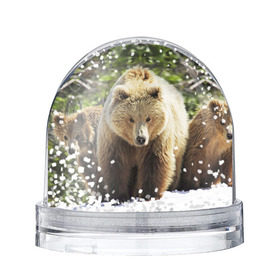 Водяной шар с принтом Медведи в Санкт-Петербурге, Пластик | Изображение внутри шара печатается на глянцевой фотобумаге с двух сторон | звери | медведь | мишка | природа
