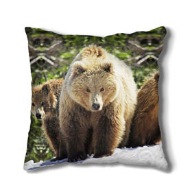 Подушка 3D с принтом Медведи в Санкт-Петербурге, наволочка – 100% полиэстер, наполнитель – холлофайбер (легкий наполнитель, не вызывает аллергию). | состоит из подушки и наволочки. Наволочка на молнии, легко снимается для стирки | звери | медведь | мишка | природа