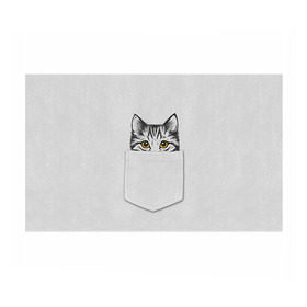 Бумага для упаковки 3D с принтом Кот в кармане 2 в Санкт-Петербурге, пластик и полированная сталь | круглая форма, металлическое крепление в виде кольца | animals | cat | kitty | животные | кот | котик