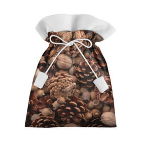 Подарочный 3D мешок с принтом Шишки и орешки в Санкт-Петербурге, 100% полиэстер | Размер: 29*39 см | Тематика изображения на принте: дуб | ёлка | ель | жёлудь | иголки | кедр | лес | орех | орешки | осень | сосна | шишки
