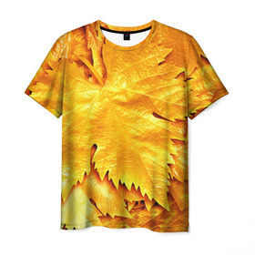 Мужская футболка 3D с принтом Золотая осень в Санкт-Петербурге, 100% полиэфир | прямой крой, круглый вырез горловины, длина до линии бедер | жёлтый | золотой | клён | красота | листва | листья | наряд | осень | осина | покров | природа