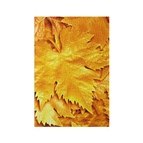 Обложка для паспорта матовая кожа с принтом Золотая осень в Санкт-Петербурге, натуральная матовая кожа | размер 19,3 х 13,7 см; прозрачные пластиковые крепления | Тематика изображения на принте: жёлтый | золотой | клён | красота | листва | листья | наряд | осень | осина | покров | природа