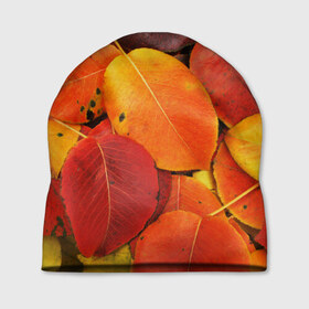 Шапка 3D с принтом Осенний покров в Санкт-Петербурге, 100% полиэстер | универсальный размер, печать по всей поверхности изделия | жёлтый | золотой | красный | листва | листья | осень