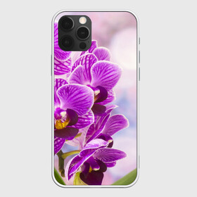 Чехол для iPhone 12 Pro с принтом Божественная орхидея в Санкт-Петербурге, силикон | область печати: задняя сторона чехла, без боковых панелей | 8 марта | букет | весна | красота | куст | лето | орхидея | подарок | сиреневый цвет | цветок | шикарный цветочек