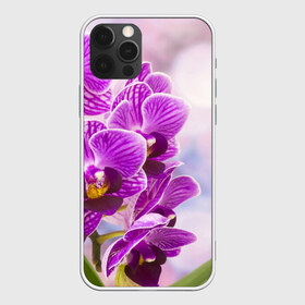 Чехол для iPhone 12 Pro Max с принтом Божественная орхидея в Санкт-Петербурге, Силикон |  | Тематика изображения на принте: 8 марта | букет | весна | красота | куст | лето | орхидея | подарок | сиреневый цвет | цветок | шикарный цветочек