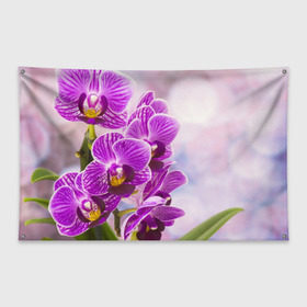 Флаг-баннер с принтом Божественная орхидея в Санкт-Петербурге, 100% полиэстер | размер 67 х 109 см, плотность ткани — 95 г/м2; по краям флага есть четыре люверса для крепления | 8 марта | букет | весна | красота | куст | лето | орхидея | подарок | сиреневый цвет | цветок | шикарный цветочек