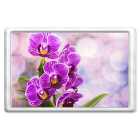 Магнит 45*70 с принтом Божественная орхидея в Санкт-Петербурге, Пластик | Размер: 78*52 мм; Размер печати: 70*45 | 8 марта | букет | весна | красота | куст | лето | орхидея | подарок | сиреневый цвет | цветок | шикарный цветочек