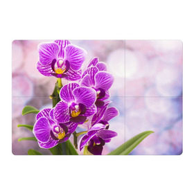 Магнитный плакат 3Х2 с принтом Божественная орхидея в Санкт-Петербурге, Полимерный материал с магнитным слоем | 6 деталей размером 9*9 см | 8 марта | букет | весна | красота | куст | лето | орхидея | подарок | сиреневый цвет | цветок | шикарный цветочек