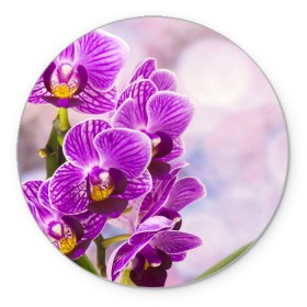 Коврик круглый с принтом Божественная орхидея в Санкт-Петербурге, резина и полиэстер | круглая форма, изображение наносится на всю лицевую часть | 8 марта | букет | весна | красота | куст | лето | орхидея | подарок | сиреневый цвет | цветок | шикарный цветочек