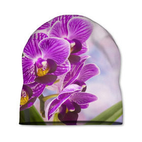 Шапка 3D с принтом Божественная орхидея в Санкт-Петербурге, 100% полиэстер | универсальный размер, печать по всей поверхности изделия | 8 марта | букет | весна | красота | куст | лето | орхидея | подарок | сиреневый цвет | цветок | шикарный цветочек