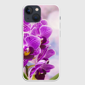 Чехол для iPhone 13 mini с принтом Божественная орхидея в Санкт-Петербурге,  |  | 8 марта | букет | весна | красота | куст | лето | орхидея | подарок | сиреневый цвет | цветок | шикарный цветочек