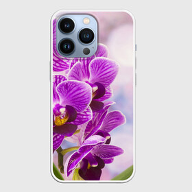 Чехол для iPhone 13 Pro с принтом Божественная орхидея в Санкт-Петербурге,  |  | 8 марта | букет | весна | красота | куст | лето | орхидея | подарок | сиреневый цвет | цветок | шикарный цветочек