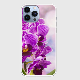 Чехол для iPhone 13 Pro Max с принтом Божественная орхидея в Санкт-Петербурге,  |  | 8 марта | букет | весна | красота | куст | лето | орхидея | подарок | сиреневый цвет | цветок | шикарный цветочек