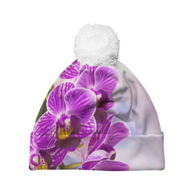 Шапка 3D c помпоном с принтом Божественная орхидея в Санкт-Петербурге, 100% полиэстер | универсальный размер, печать по всей поверхности изделия | 8 марта | букет | весна | красота | куст | лето | орхидея | подарок | сиреневый цвет | цветок | шикарный цветочек