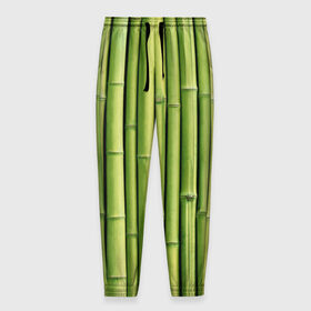 Мужские брюки 3D с принтом Бамбук в Санкт-Петербурге, 100% полиэстер | манжеты по низу, эластичный пояс регулируется шнурком, по бокам два кармана без застежек, внутренняя часть кармана из мелкой сетки | бамбук | дерево | джунгли | кустарник | надёжность | прочность | стена