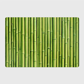 Магнитный плакат 3Х2 с принтом Бамбук в Санкт-Петербурге, Полимерный материал с магнитным слоем | 6 деталей размером 9*9 см | бамбук | дерево | джунгли | кустарник | надёжность | прочность | стена