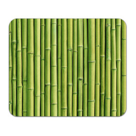 Коврик прямоугольный с принтом Бамбук в Санкт-Петербурге, натуральный каучук | размер 230 х 185 мм; запечатка лицевой стороны | Тематика изображения на принте: бамбук | дерево | джунгли | кустарник | надёжность | прочность | стена
