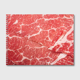 Альбом для рисования с принтом Кусок мяса в Санкт-Петербурге, 100% бумага
 | матовая бумага, плотность 200 мг. | баранина | бекон | белок | говядина | еда | жилы | кровь | кусок | мощь | мышцы | мясо | нарезка | отбивная | пища | протеин | свинина | сила | телятина | туша | филе | хрящи