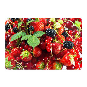 Магнитный плакат 3Х2 с принтом Любимые ягоды в Санкт-Петербурге, Полимерный материал с магнитным слоем | 6 деталей размером 9*9 см | вкусно | голубика | дача | деревня | ежевика | зелень | клубника | малина | огород | полезно | сад | смородина | сок | фрукты | черника | шиповник | ягоды