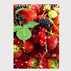 Скетчбук с принтом Любимые ягоды в Санкт-Петербурге, 100% бумага
 | 48 листов, плотность листов — 100 г/м2, плотность картонной обложки — 250 г/м2. Листы скреплены сверху удобной пружинной спиралью | вкусно | голубика | дача | деревня | ежевика | зелень | клубника | малина | огород | полезно | сад | смородина | сок | фрукты | черника | шиповник | ягоды