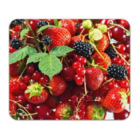 Коврик прямоугольный с принтом Любимые ягоды в Санкт-Петербурге, натуральный каучук | размер 230 х 185 мм; запечатка лицевой стороны | вкусно | голубика | дача | деревня | ежевика | зелень | клубника | малина | огород | полезно | сад | смородина | сок | фрукты | черника | шиповник | ягоды