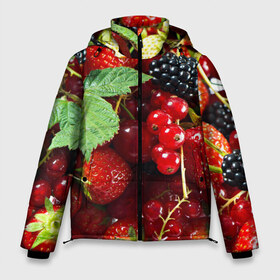 Мужская зимняя куртка 3D с принтом Любимые ягоды в Санкт-Петербурге, верх — 100% полиэстер; подкладка — 100% полиэстер; утеплитель — 100% полиэстер | длина ниже бедра, свободный силуэт Оверсайз. Есть воротник-стойка, отстегивающийся капюшон и ветрозащитная планка. 

Боковые карманы с листочкой на кнопках и внутренний карман на молнии. | вкусно | голубика | дача | деревня | ежевика | зелень | клубника | малина | огород | полезно | сад | смородина | сок | фрукты | черника | шиповник | ягоды