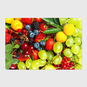 Магнитный плакат 3Х2 с принтом Вкусные ягоды в Санкт-Петербурге, Полимерный материал с магнитным слоем | 6 деталей размером 9*9 см | Тематика изображения на принте: виноград | вкусно | голубика | дача | деревня | ежевика | клубника | малина | огород | полезно | рябина | сад | смородина | сок | фрукты | черника | ягоды