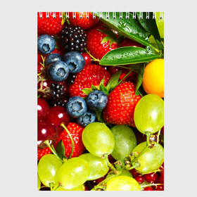 Скетчбук с принтом Вкусные ягоды в Санкт-Петербурге, 100% бумага
 | 48 листов, плотность листов — 100 г/м2, плотность картонной обложки — 250 г/м2. Листы скреплены сверху удобной пружинной спиралью | виноград | вкусно | голубика | дача | деревня | ежевика | клубника | малина | огород | полезно | рябина | сад | смородина | сок | фрукты | черника | ягоды