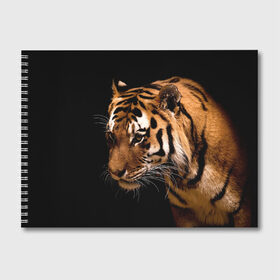 Альбом для рисования с принтом Тигр в Санкт-Петербурге, 100% бумага
 | матовая бумага, плотность 200 мг. | Тематика изображения на принте: полосы | хищник
