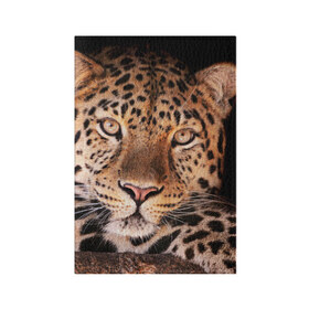Обложка для паспорта матовая кожа с принтом Леопард в Санкт-Петербурге, натуральная матовая кожа | размер 19,3 х 13,7 см; прозрачные пластиковые крепления | гепард | грация | дикая кошка | добыча | животные | леопард | ловкость | опасность | пятна | хищник | ягуар