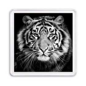 Магнит 55*55 с принтом Красавец тигр в Санкт-Петербурге, Пластик | Размер: 65*65 мм; Размер печати: 55*55 мм | джунгли | дикая кошка | животные | зверь | король | кровь | мясо | опасность | охотник | тигр | хищник | царь | цирк