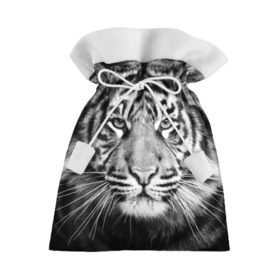 Подарочный 3D мешок с принтом Красавец тигр в Санкт-Петербурге, 100% полиэстер | Размер: 29*39 см | джунгли | дикая кошка | животные | зверь | король | кровь | мясо | опасность | охотник | тигр | хищник | царь | цирк