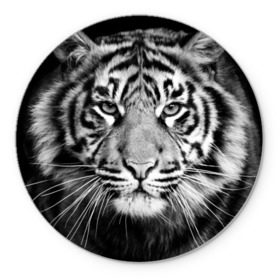Коврик круглый с принтом Красавец тигр в Санкт-Петербурге, резина и полиэстер | круглая форма, изображение наносится на всю лицевую часть | Тематика изображения на принте: джунгли | дикая кошка | животные | зверь | король | кровь | мясо | опасность | охотник | тигр | хищник | царь | цирк