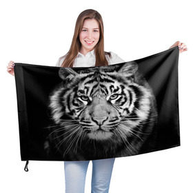 Флаг 3D с принтом Красавец тигр в Санкт-Петербурге, 100% полиэстер | плотность ткани — 95 г/м2, размер — 67 х 109 см. Принт наносится с одной стороны | джунгли | дикая кошка | животные | зверь | король | кровь | мясо | опасность | охотник | тигр | хищник | царь | цирк