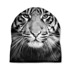 Шапка 3D с принтом Красавец тигр в Санкт-Петербурге, 100% полиэстер | универсальный размер, печать по всей поверхности изделия | джунгли | дикая кошка | животные | зверь | король | кровь | мясо | опасность | охотник | тигр | хищник | царь | цирк