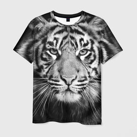 Мужская футболка 3D с принтом Красавец тигр в Санкт-Петербурге, 100% полиэфир | прямой крой, круглый вырез горловины, длина до линии бедер | джунгли | дикая кошка | животные | зверь | король | кровь | мясо | опасность | охотник | тигр | хищник | царь | цирк